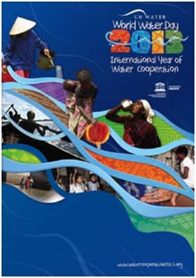 Year of cooperation